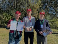 ������������� ������ ������� ���