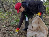 ������������� ������ ������� ���