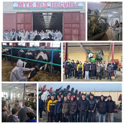 ���������� ������ �� �������������� "��������� ������", "������������ � ������ �������������������� �������"