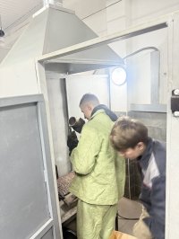 �������� ���� ����������������� �������� �� ������������� ���������� �������