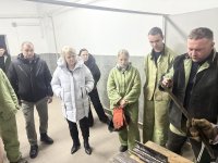 �������� ���� ����������������� �������� �� ������������� ���������� �������