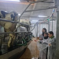 ��������� � ��� "���������-����"