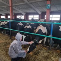 ��������� � ��� "���������-����"