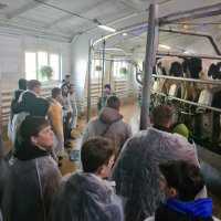 ��������� � ��� "���������-����"