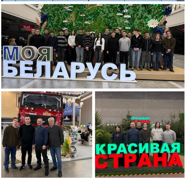 ���� ���������